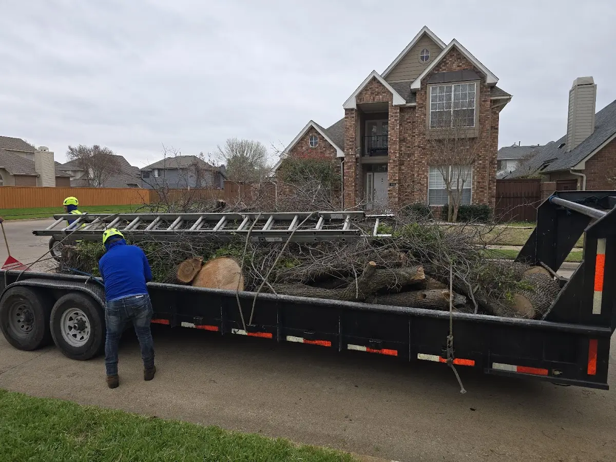 Expert Tree Fertilization with proper safety equipment in Franksville